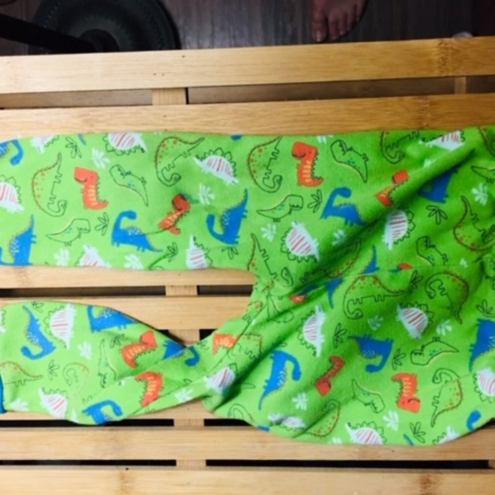 Dino Toddler PJ Pants